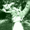 Alice’in Maceraları