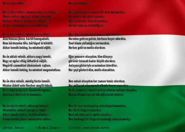 Ha én rózsa volnék - Metni