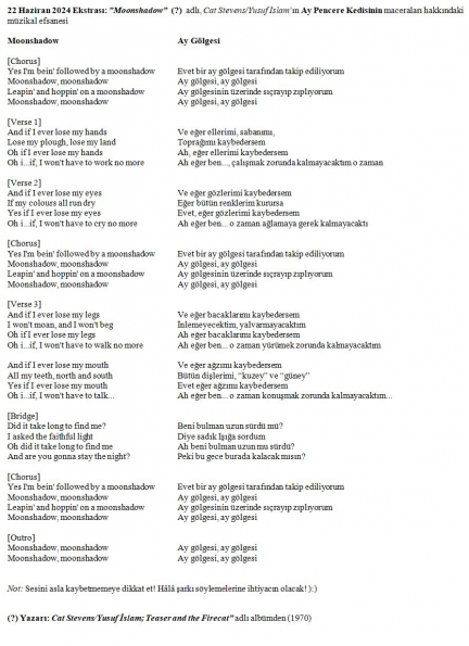 Ay Gölgesi - Sözleri