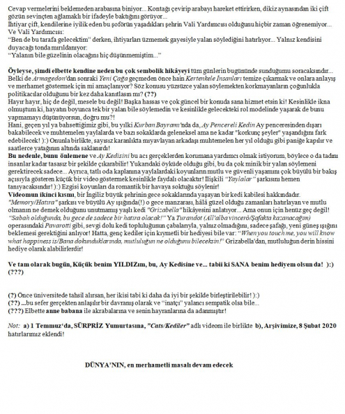 93 numaralı yorumum B