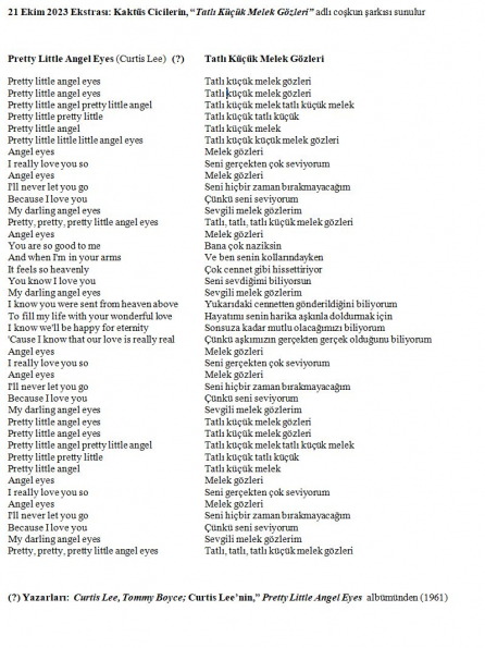 109 numaralı yorumum Ekstrası