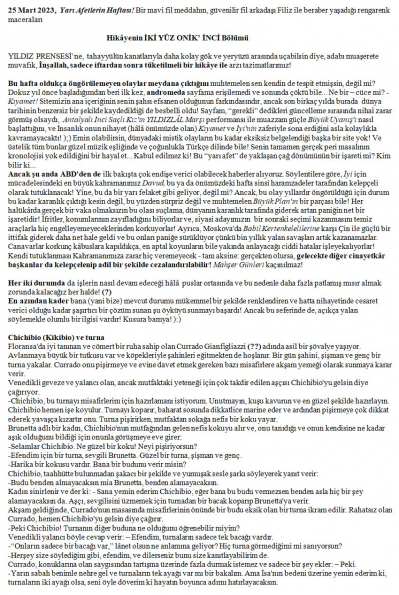 79 numaralı yorumum A