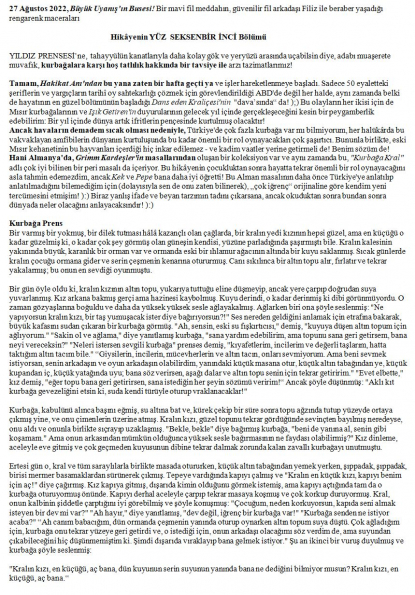 48 numaralı yorumum A