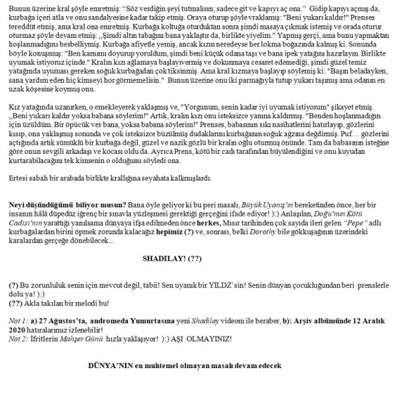 48 numaralı yorumum B