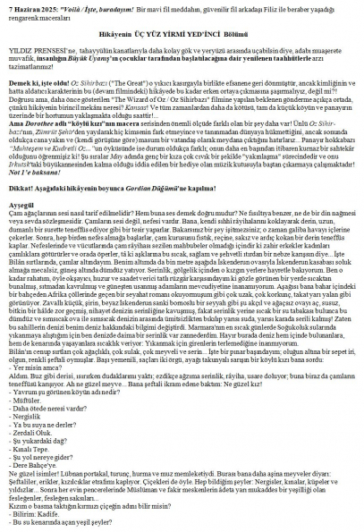 196 numaralı yorumum A