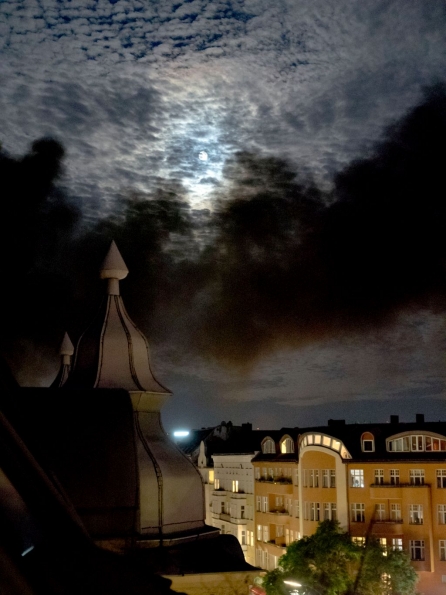 OLYMPUS DIGITAL CAMERA