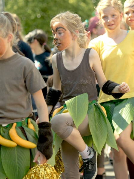 OLYMPUS DIGITAL CAMERA