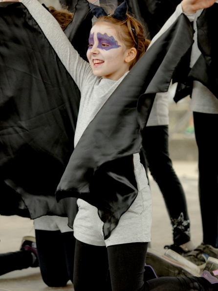 OLYMPUS DIGITAL CAMERA