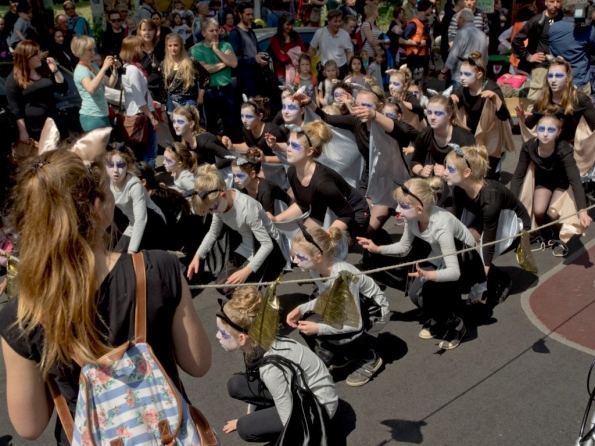 OLYMPUS DIGITAL CAMERA