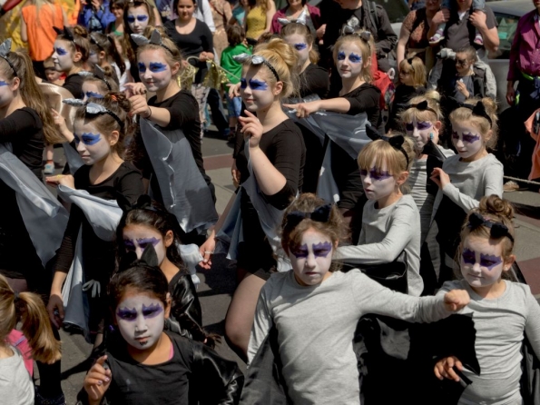 OLYMPUS DIGITAL CAMERA