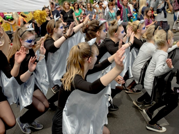 OLYMPUS DIGITAL CAMERA