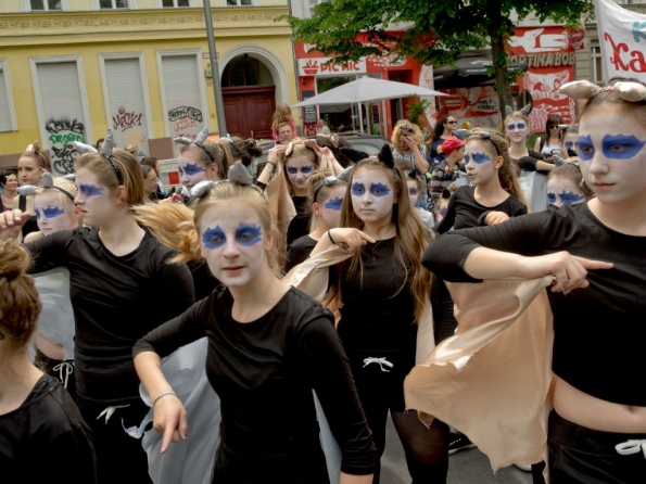 OLYMPUS DIGITAL CAMERA