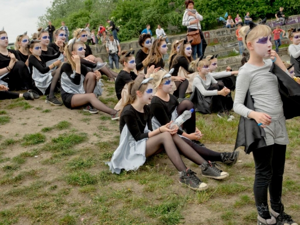 OLYMPUS DIGITAL CAMERA