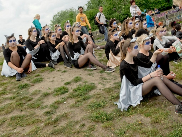 OLYMPUS DIGITAL CAMERA