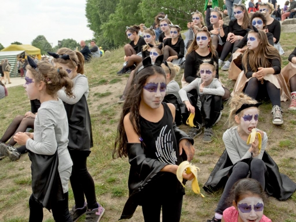 OLYMPUS DIGITAL CAMERA