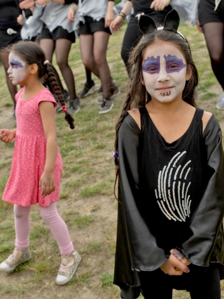 OLYMPUS DIGITAL CAMERA