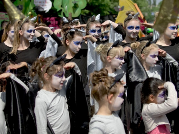 OLYMPUS DIGITAL CAMERA