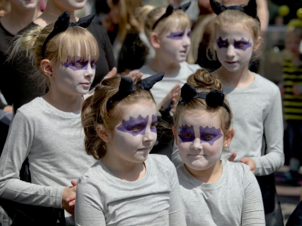 OLYMPUS DIGITAL CAMERA