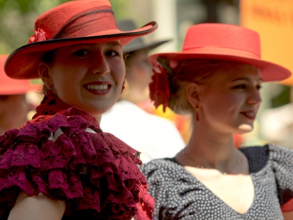 OLYMPUS DIGITAL CAMERA