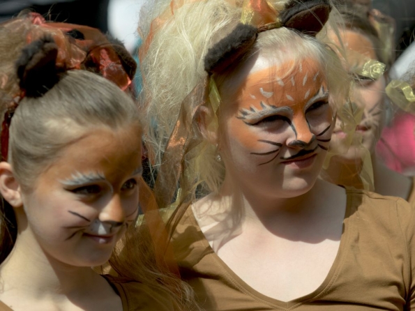 OLYMPUS DIGITAL CAMERA