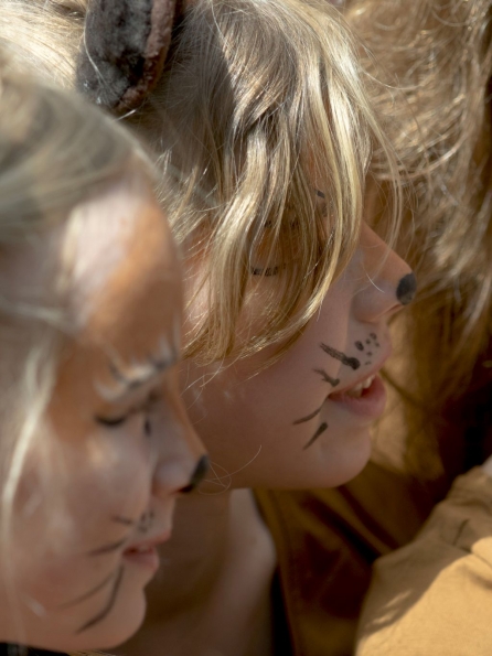 OLYMPUS DIGITAL CAMERA