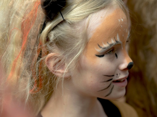 OLYMPUS DIGITAL CAMERA