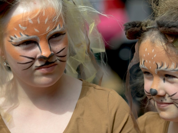 OLYMPUS DIGITAL CAMERA