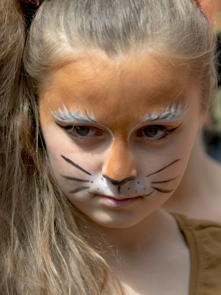 OLYMPUS DIGITAL CAMERA