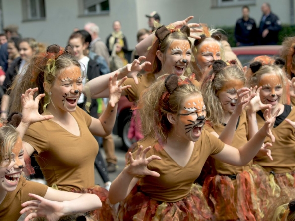 OLYMPUS DIGITAL CAMERA