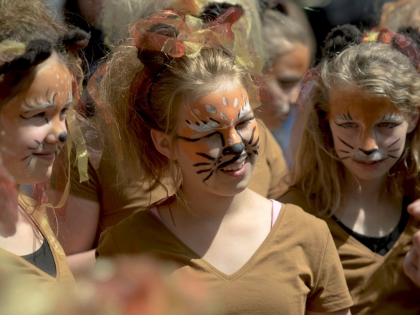 OLYMPUS DIGITAL CAMERA