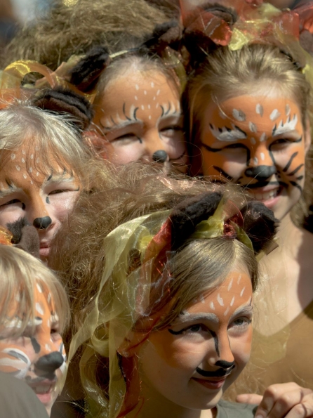 OLYMPUS DIGITAL CAMERA