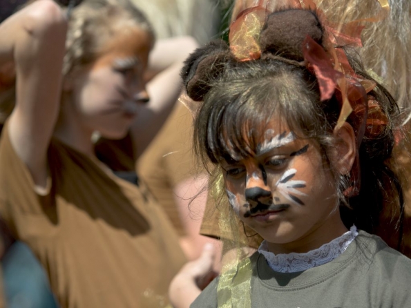 OLYMPUS DIGITAL CAMERA