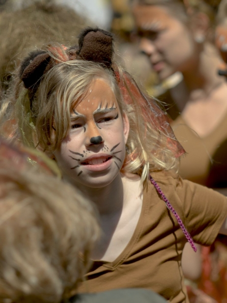 OLYMPUS DIGITAL CAMERA