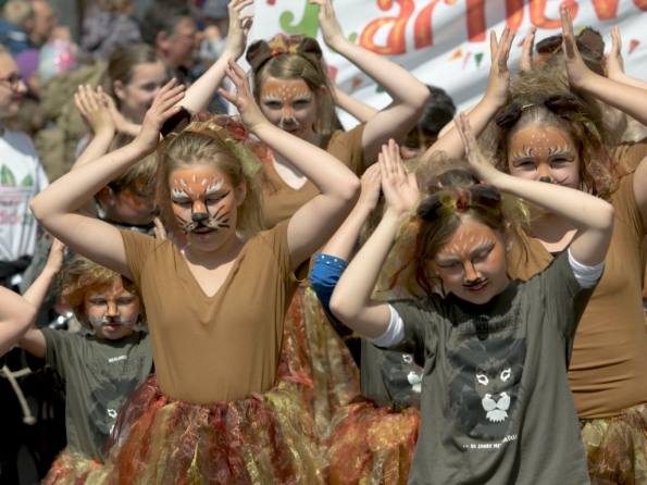 OLYMPUS DIGITAL CAMERA