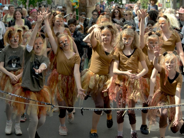 OLYMPUS DIGITAL CAMERA