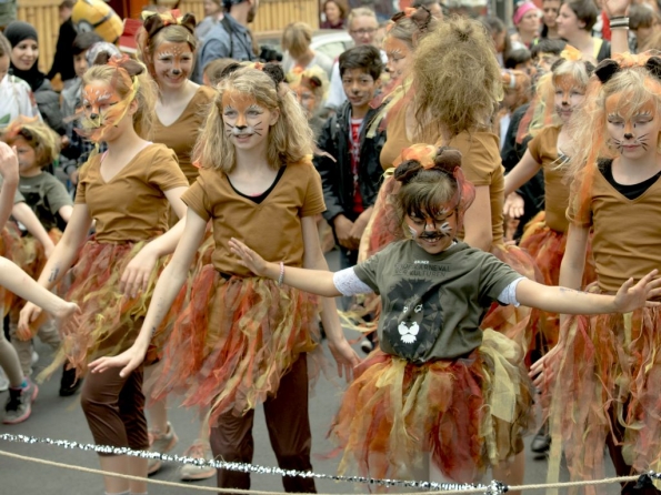 OLYMPUS DIGITAL CAMERA