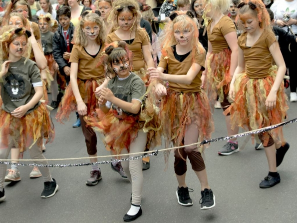 OLYMPUS DIGITAL CAMERA