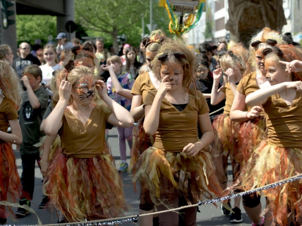 OLYMPUS DIGITAL CAMERA