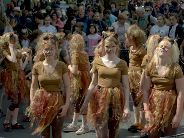 OLYMPUS DIGITAL CAMERA