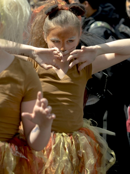 OLYMPUS DIGITAL CAMERA