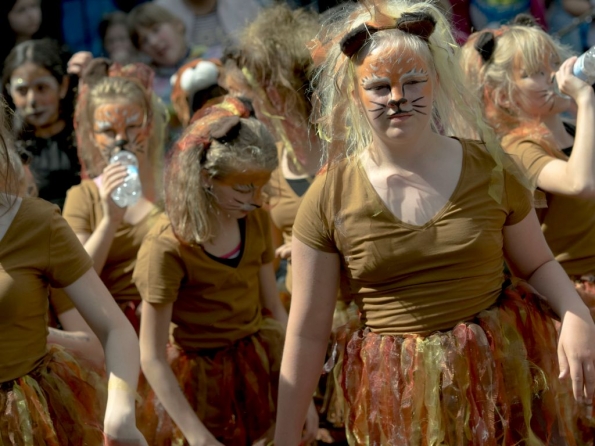 OLYMPUS DIGITAL CAMERA