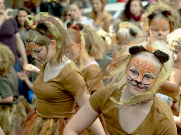 OLYMPUS DIGITAL CAMERA