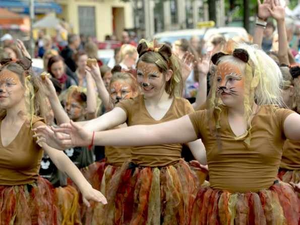 OLYMPUS DIGITAL CAMERA