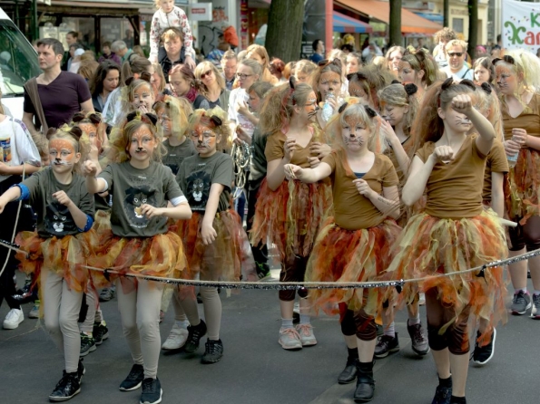 OLYMPUS DIGITAL CAMERA