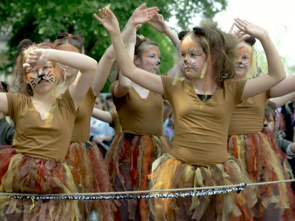 OLYMPUS DIGITAL CAMERA