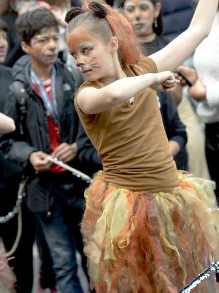 OLYMPUS DIGITAL CAMERA