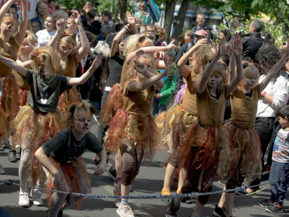 OLYMPUS DIGITAL CAMERA