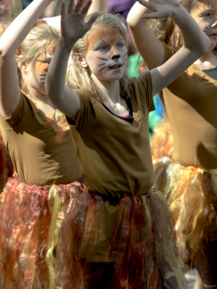 OLYMPUS DIGITAL CAMERA