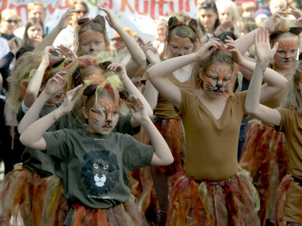 OLYMPUS DIGITAL CAMERA