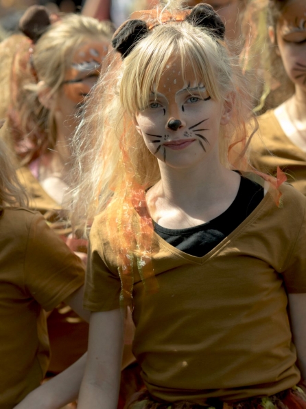 OLYMPUS DIGITAL CAMERA